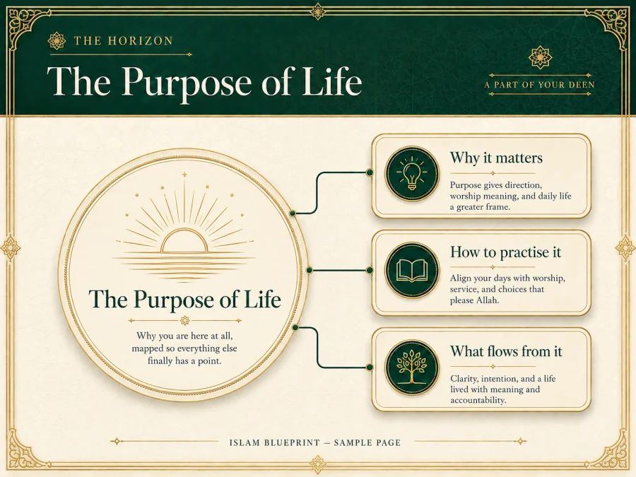 The Purpose Of Life